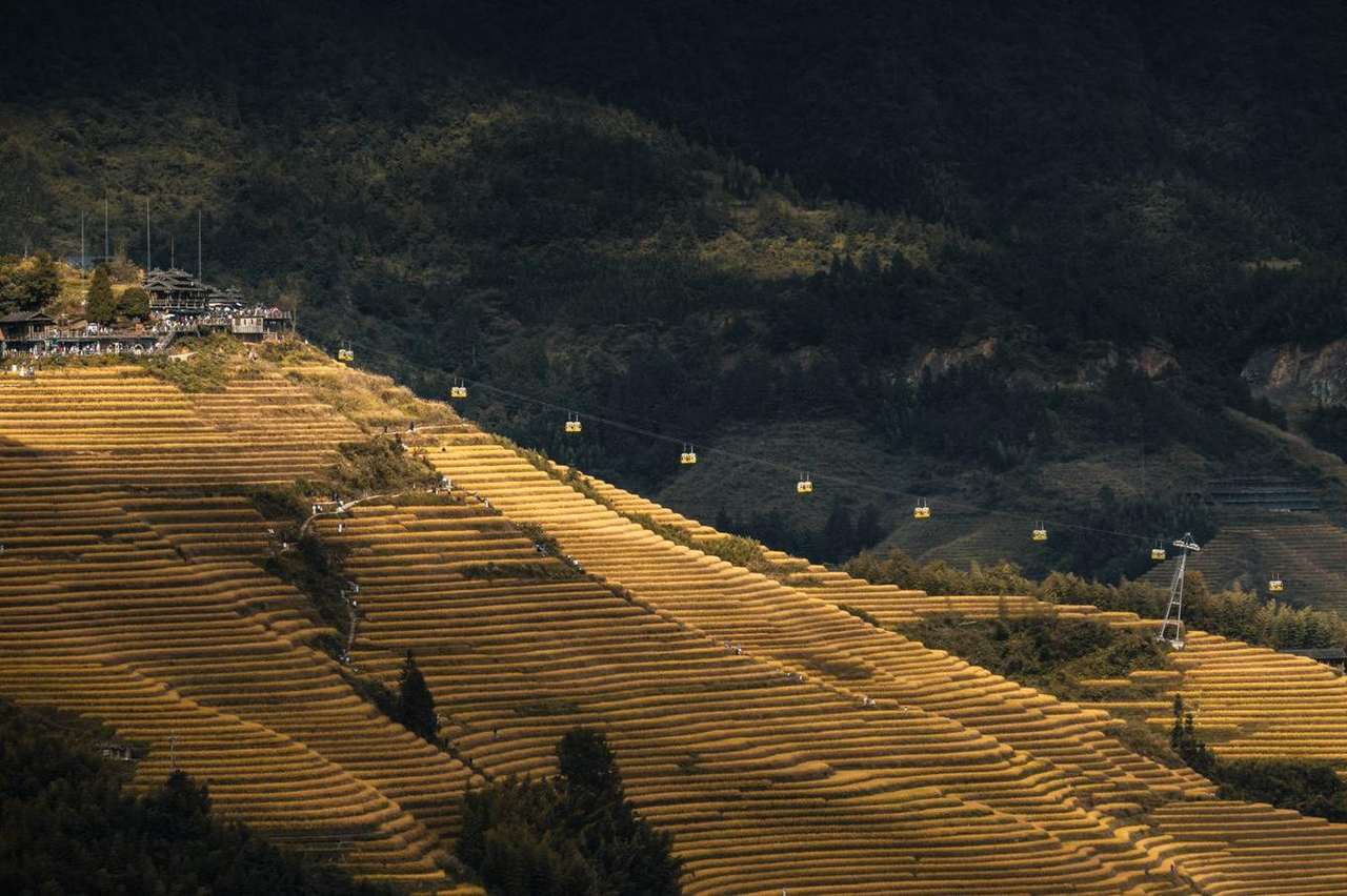 屋后山田